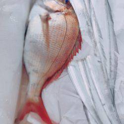 タチウオジギング  鯛ラバ