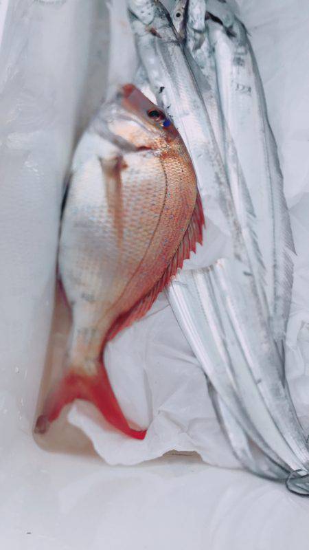 タチウオジギング  鯛ラバ