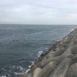 悪天候のなかエソ