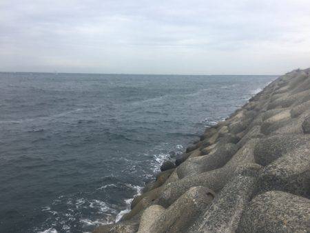 悪天候のなかエソ