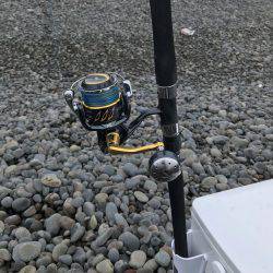 イトヒキアジ？？