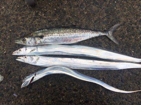 バラシまくり。