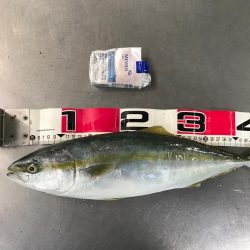 青木丸で大漁！