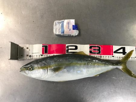 青木丸で大漁！