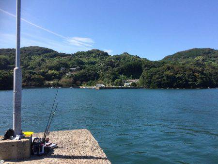 宮浦漁港の釣果
