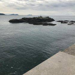 人生2回目のエギング