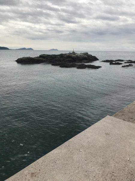 人生2回目のエギング