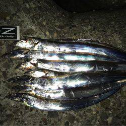 昨日の雨の影響、皆無！