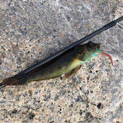 パワーイソメゲーム