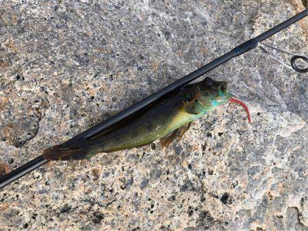 パワーイソメゲーム