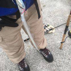 明け方 タチウオ 明けてエソ