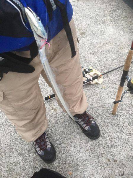 明け方 タチウオ 明けてエソ