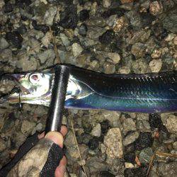 ミッドナイトワインド