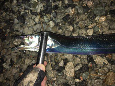 ミッドナイトワインド