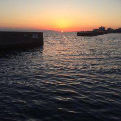 夕まずめエギング