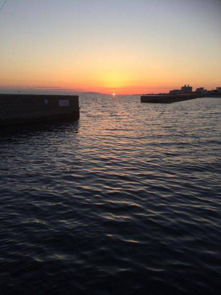 夕まずめエギング