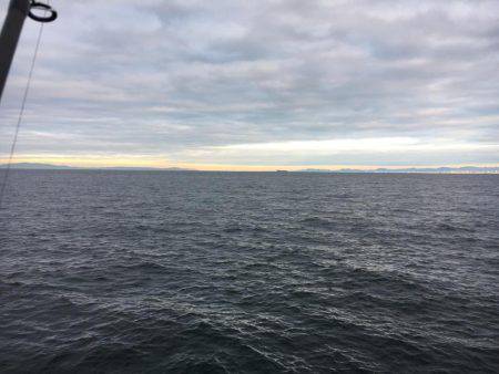 ハマチはバラシ