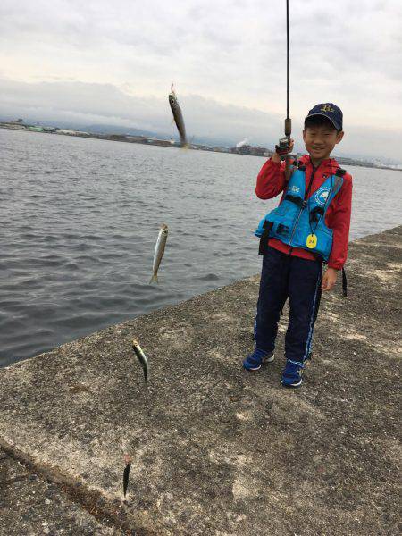 岸和田の旧一文字