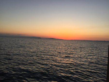 アジで始まりアジで終わり