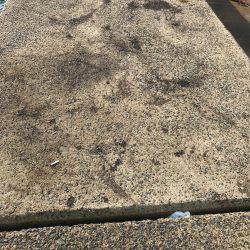 伊根から舞鶴までランガンエギング