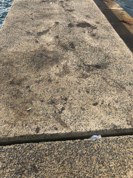 伊根から舞鶴までランガンエギング