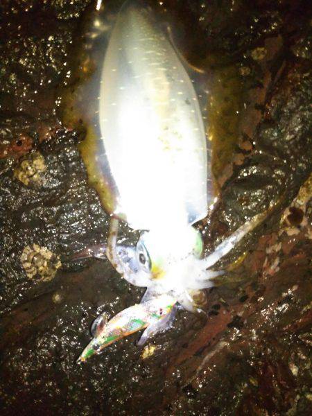 潮止まりで撤収！