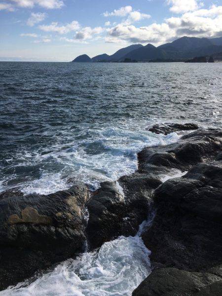 エギングでアオリイカ