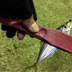 やばすぎる死ぬほど渋い