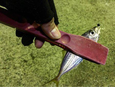 やばすぎる死ぬほど渋い