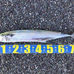 初オフショアジギング