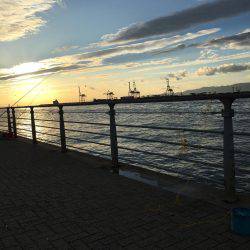 コスモスクエア〜手元でガツン!