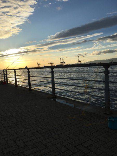 コスモスクエア〜手元でガツン!