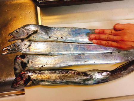 ワインド爆釣！！