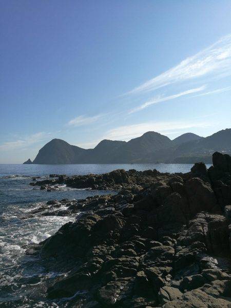 アオリイカ調査