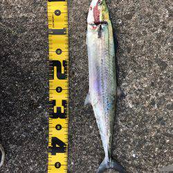 10ヒット8キャッチ まあまあかな。