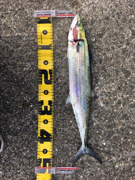 10ヒット8キャッチ まあまあかな。