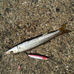 2017年10月9日釣行in鷹島