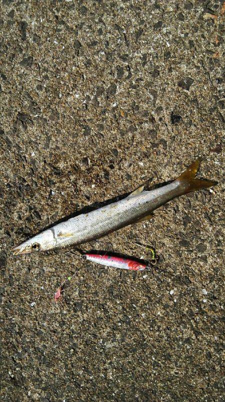 2017年10月9日釣行in鷹島