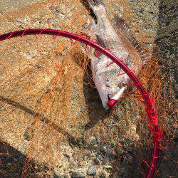 ポッパーでバコッ