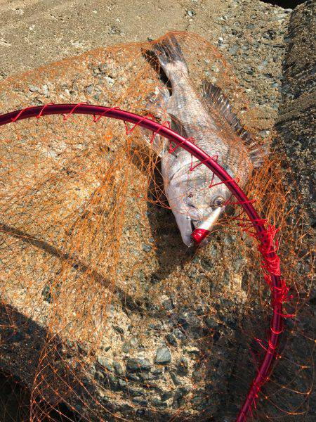 ポッパーでバコッ