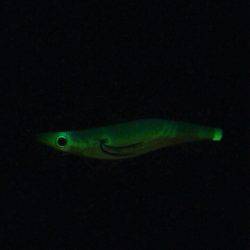 ランガンエギング