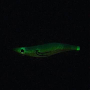 ランガンエギング