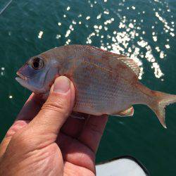 水温下がり過ぎ