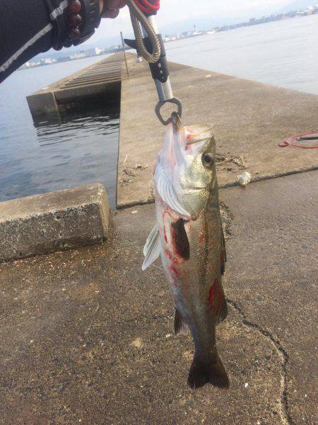 はやと丸 白灯台