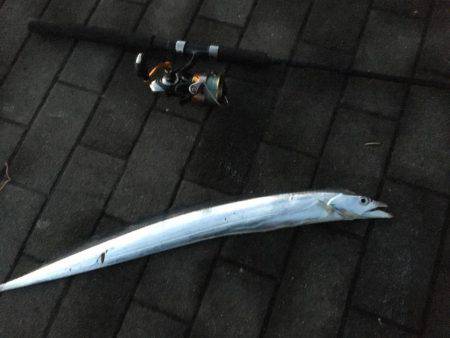 楽しい太刀魚釣り