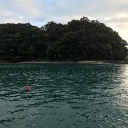 イカの聖地！？