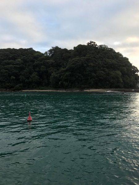 イカの聖地！？