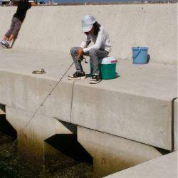 タチウオしか出会えず