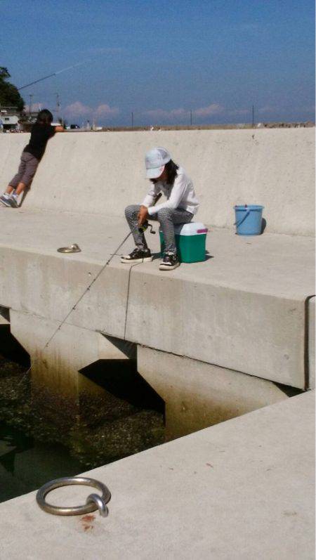 タチウオしか出会えず