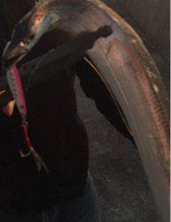 めっちゃ悔しい